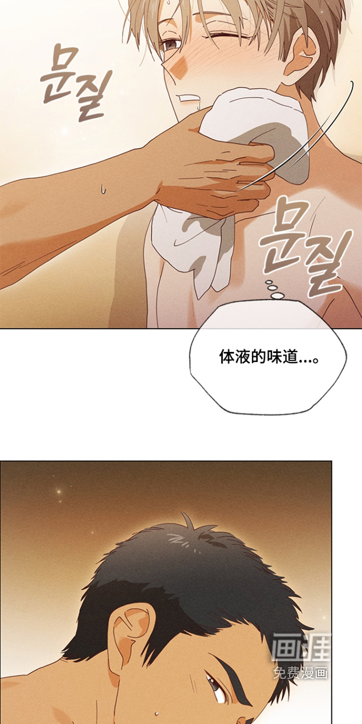 都市美男下乡记漫画-图1