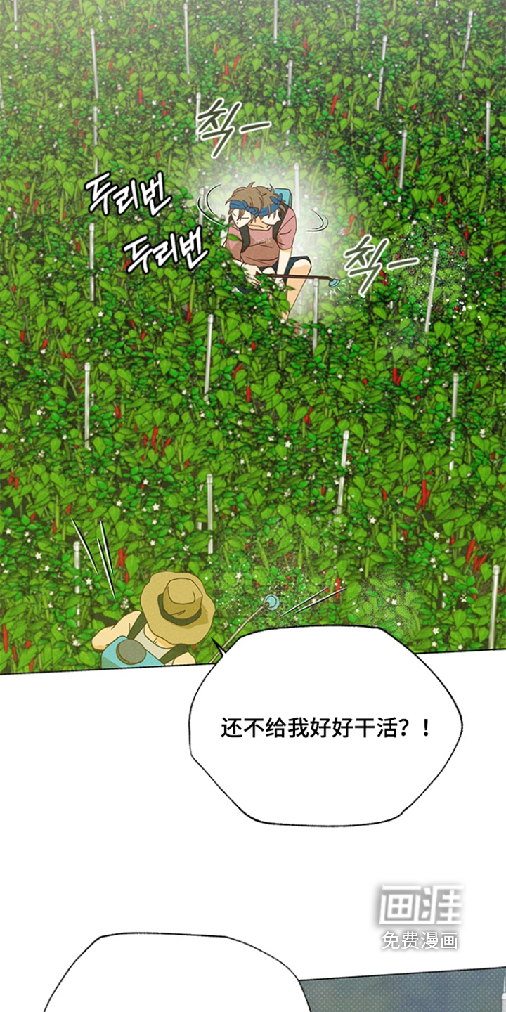 都市美男下乡记漫画-图25
