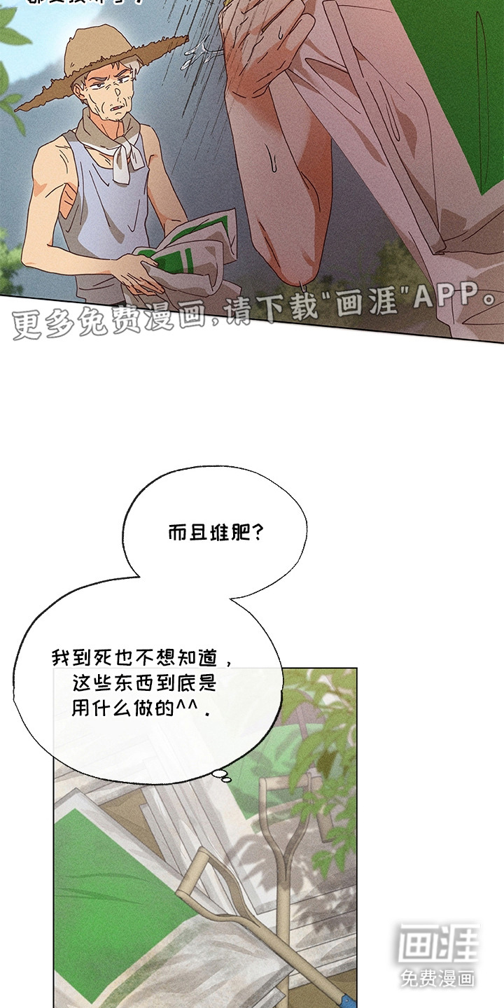 都市美男下乡记漫画-图11
