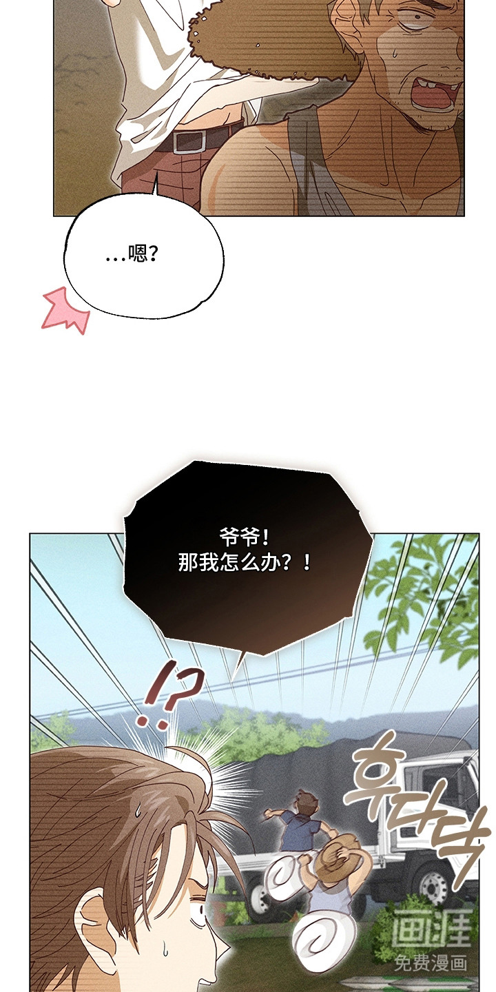都市美男下乡记漫画-图15