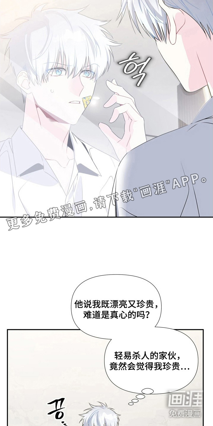 底牌与谎言漫画-图5