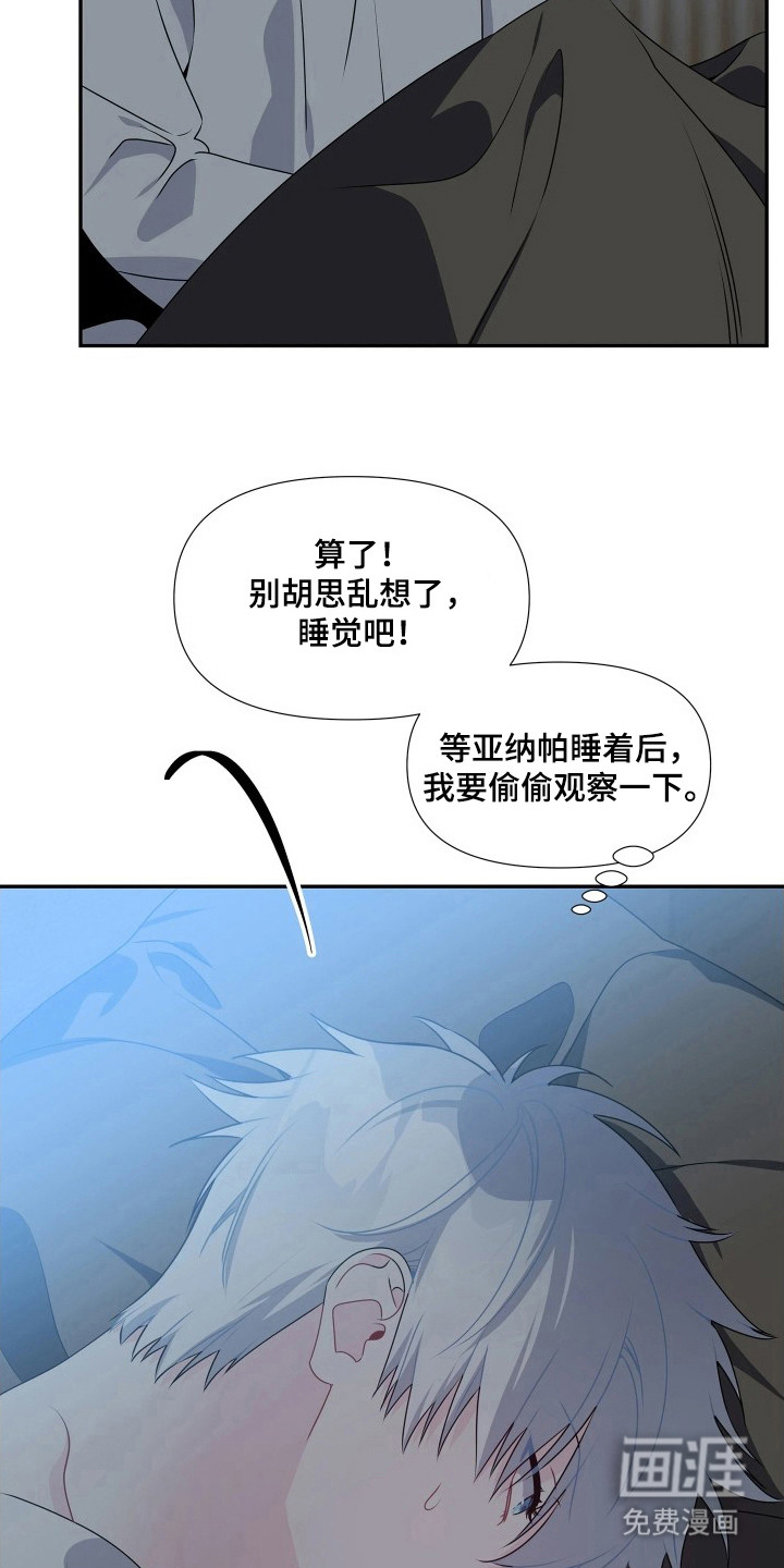 底牌与谎言漫画-图13