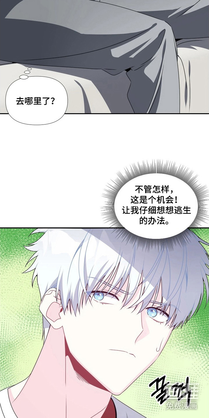 底牌与谎言漫画-图19