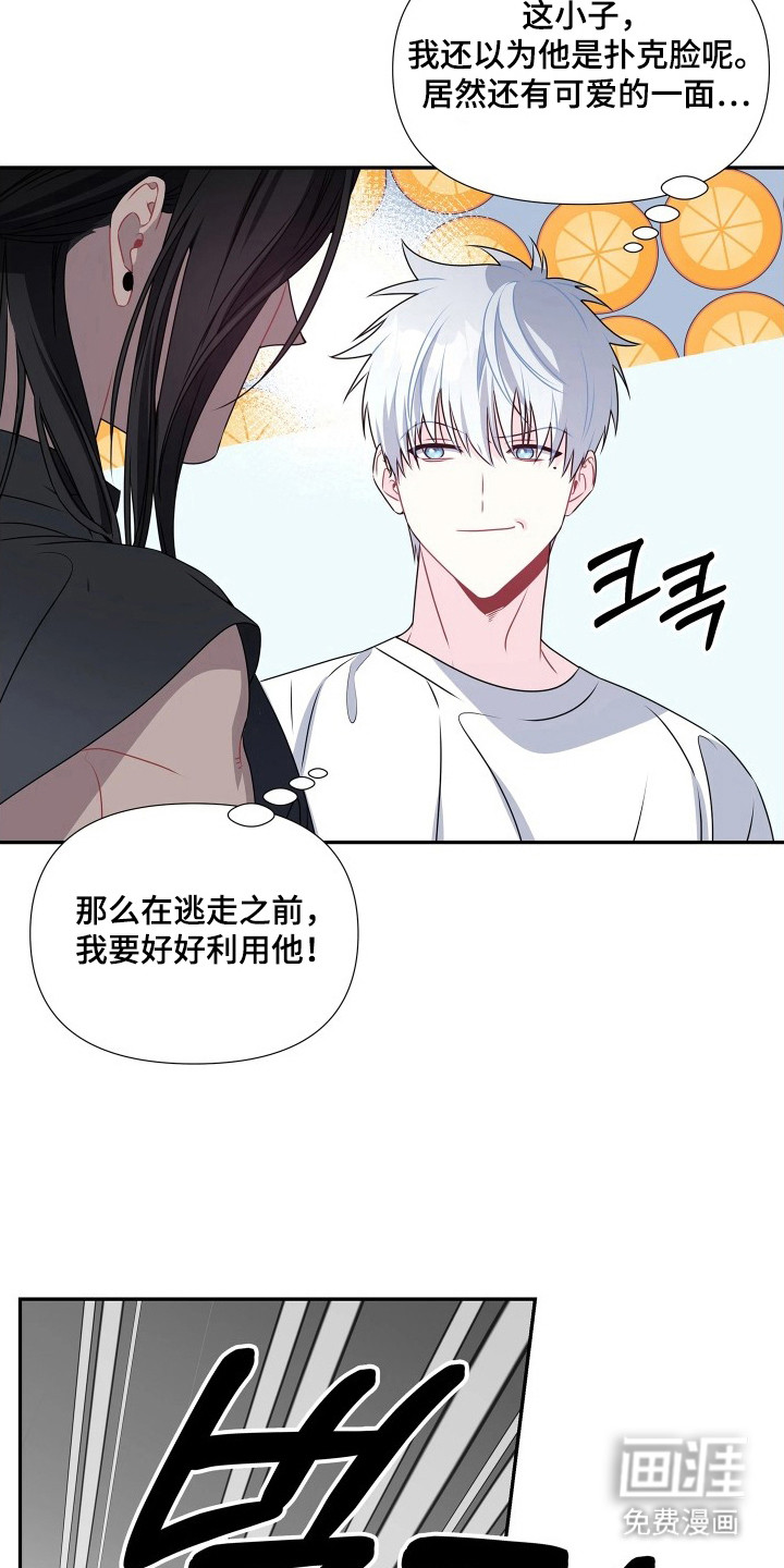 底牌与谎言漫画-图17