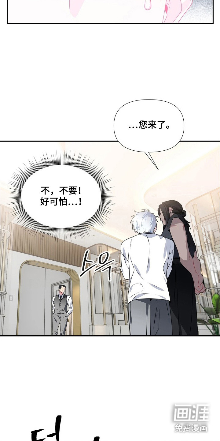 底牌与谎言漫画-图20