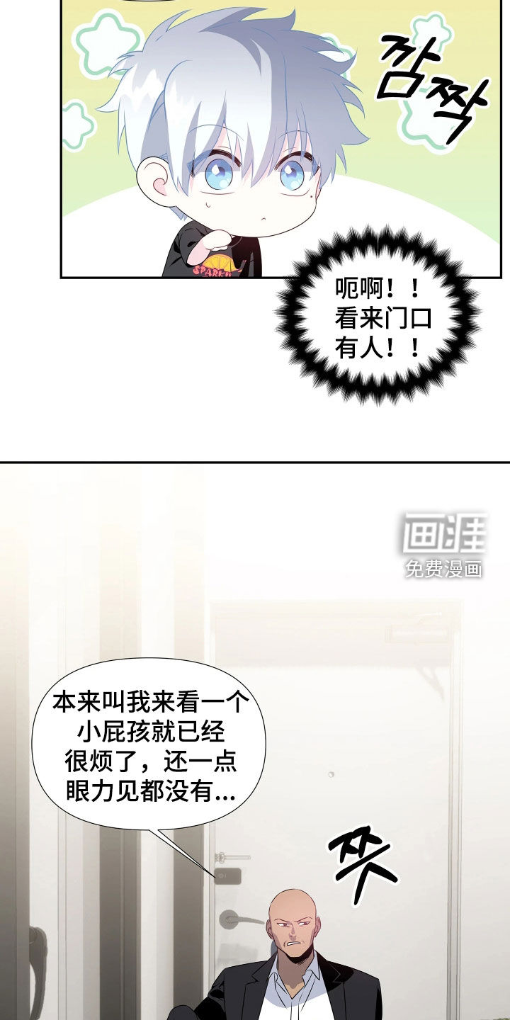 底牌与谎言漫画-图14