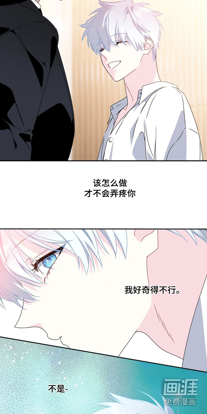 底牌与谎言漫画-图10