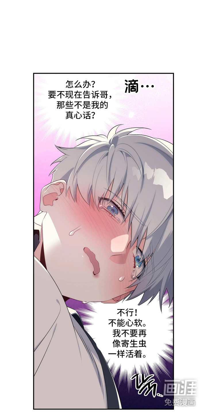 底牌与谎言漫画-图18