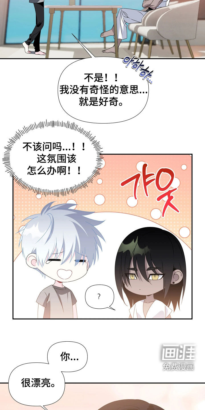 底牌与谎言漫画-图19
