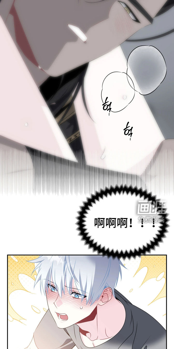 底牌与谎言漫画-图13