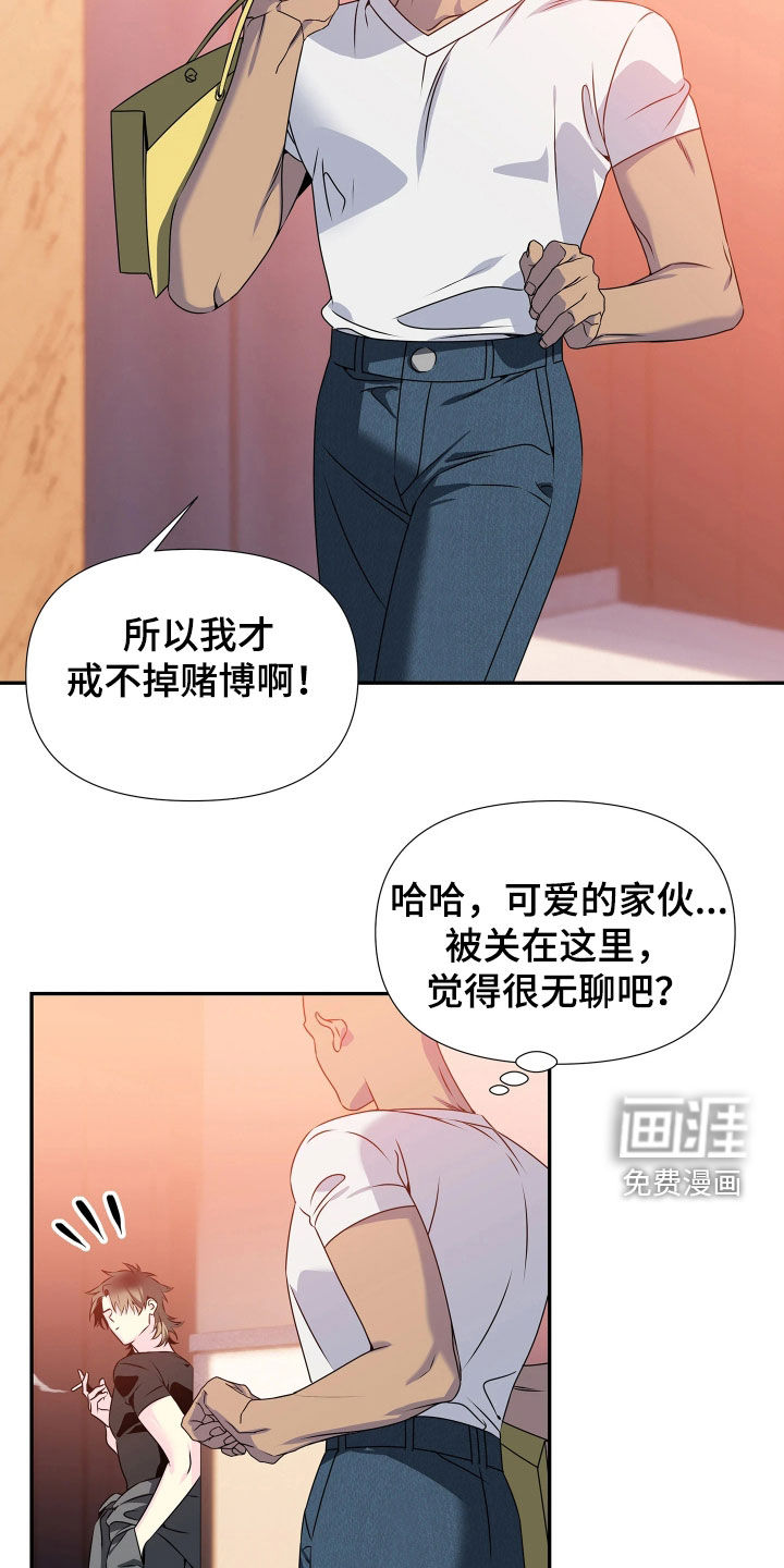 底牌与谎言漫画-图18