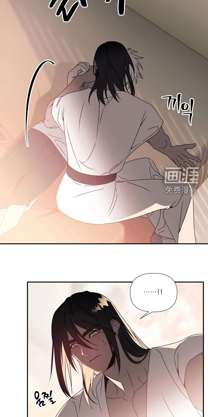 底牌与谎言漫画-图4
