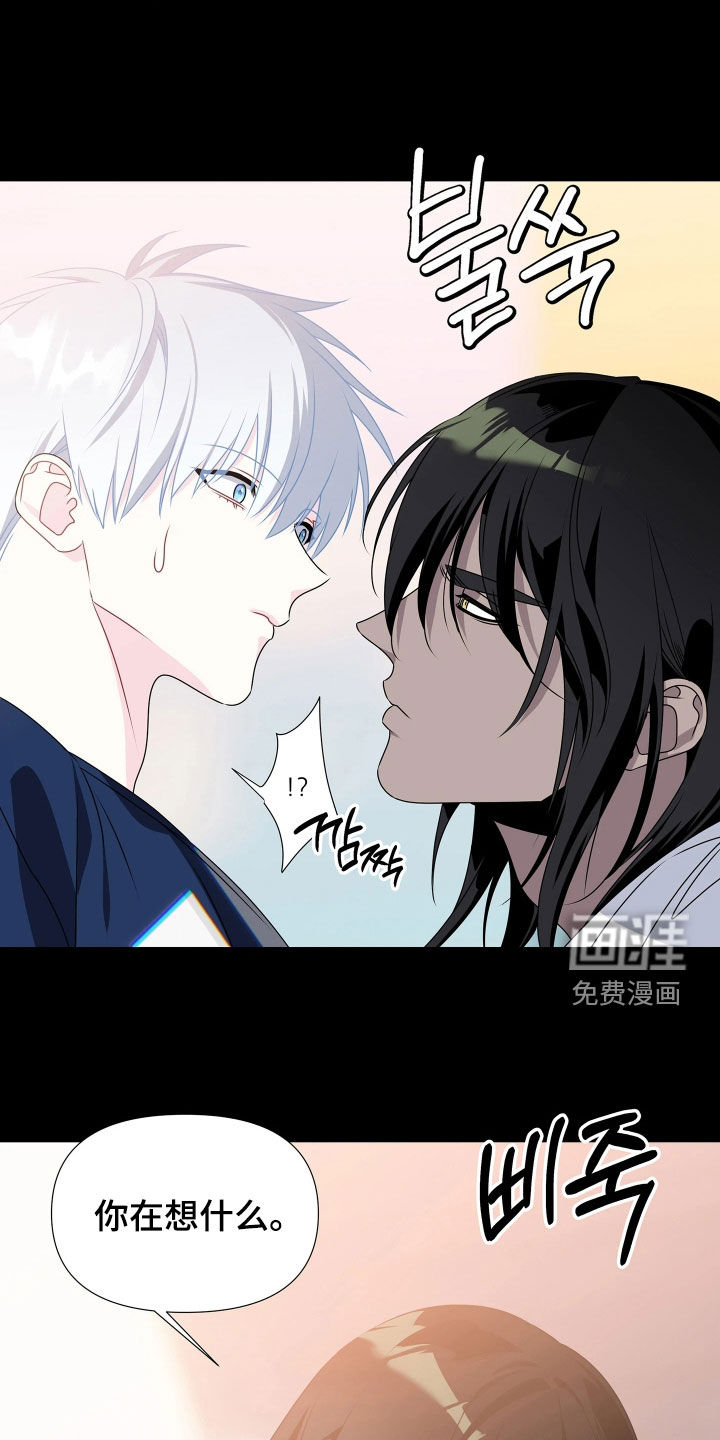 底牌与谎言漫画-图7