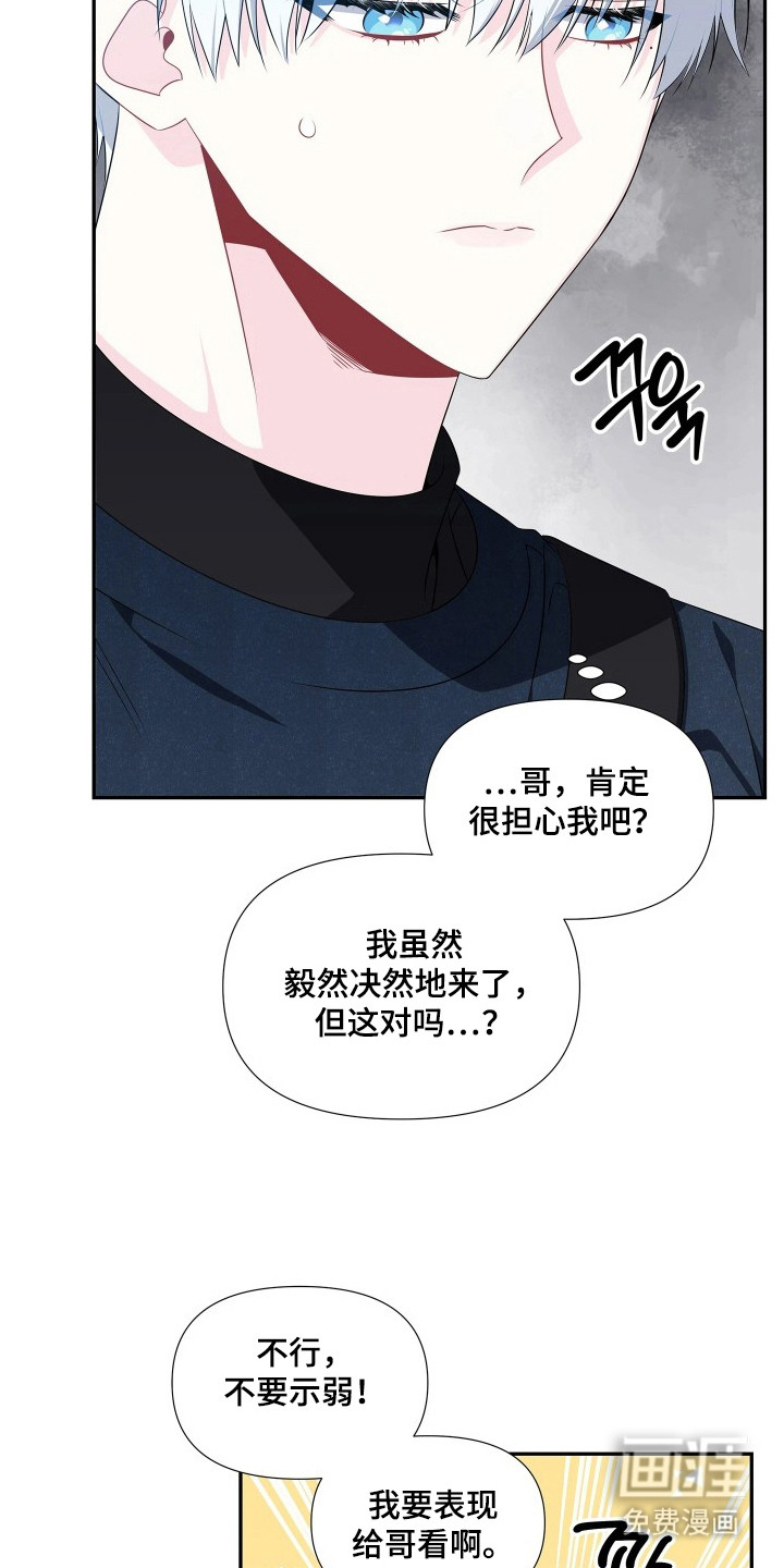 底牌与谎言漫画-图4