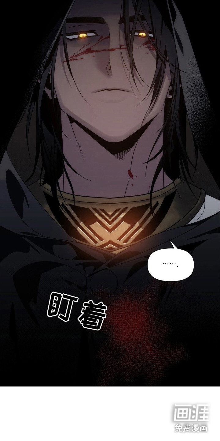 底牌与谎言漫画-图15