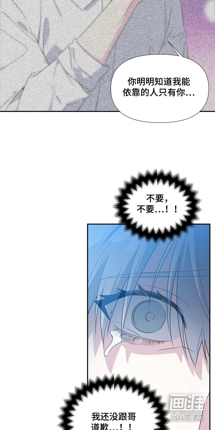 底牌与谎言漫画-图20