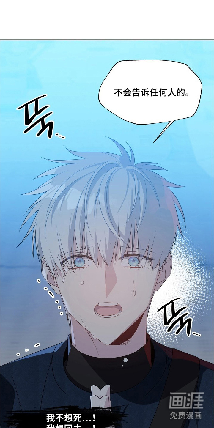 底牌与谎言漫画-图22