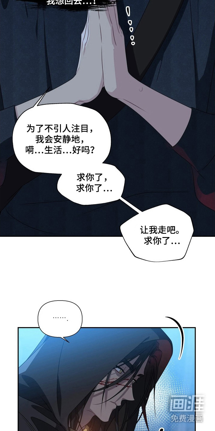 底牌与谎言漫画-图23