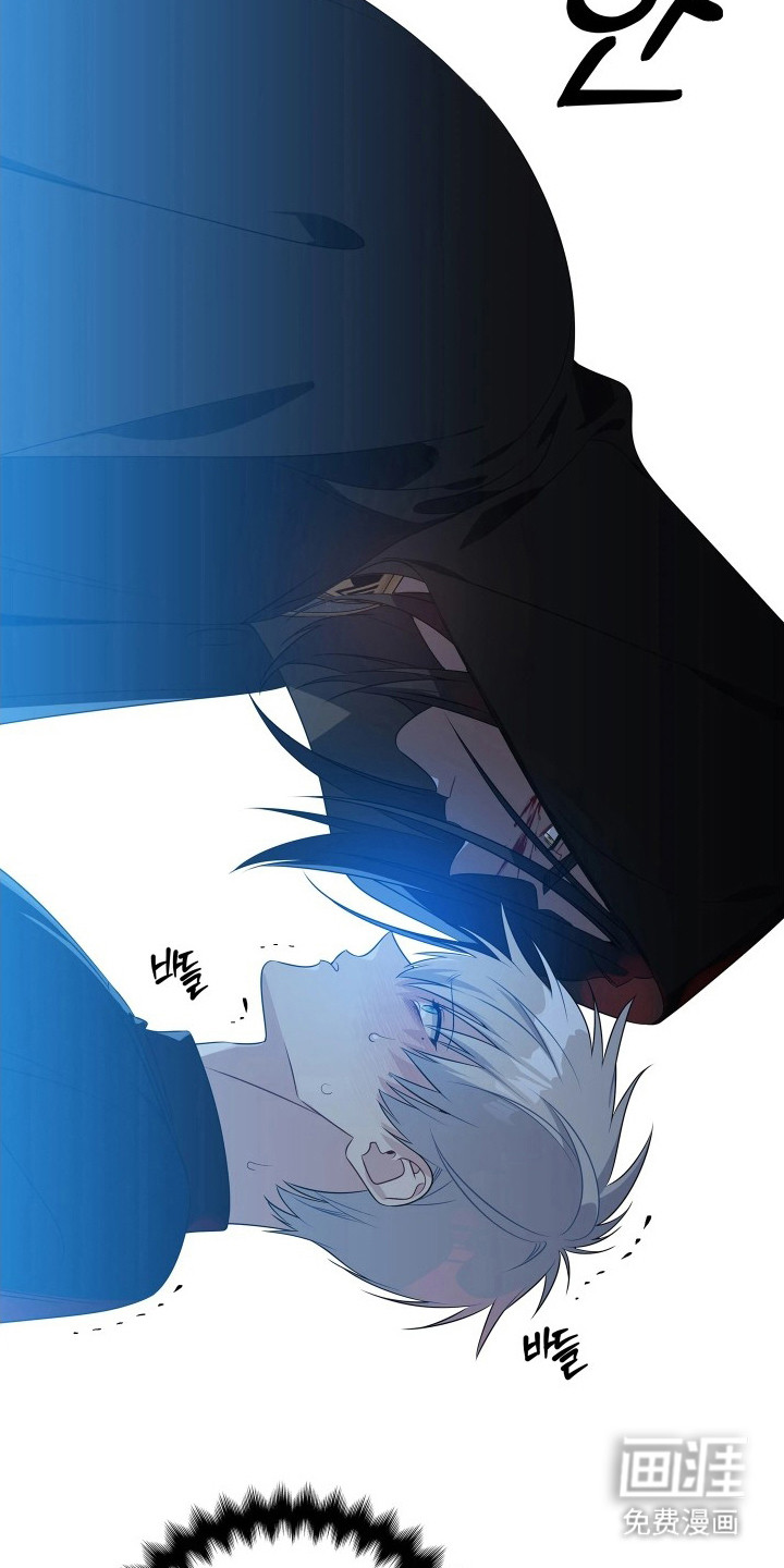 底牌与谎言漫画-图4