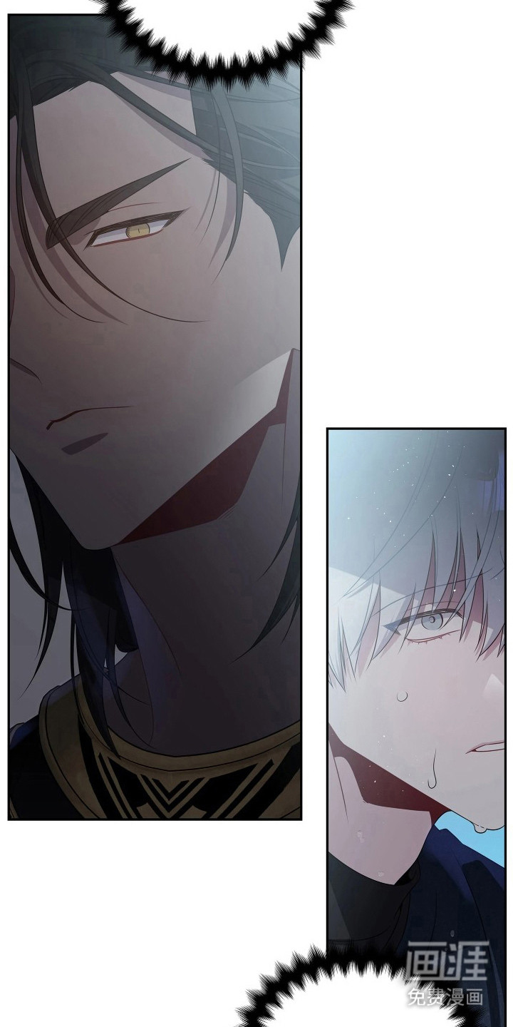 底牌与谎言漫画-图16