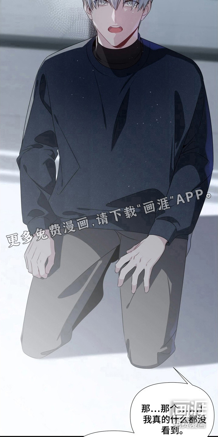 底牌与谎言漫画-图4