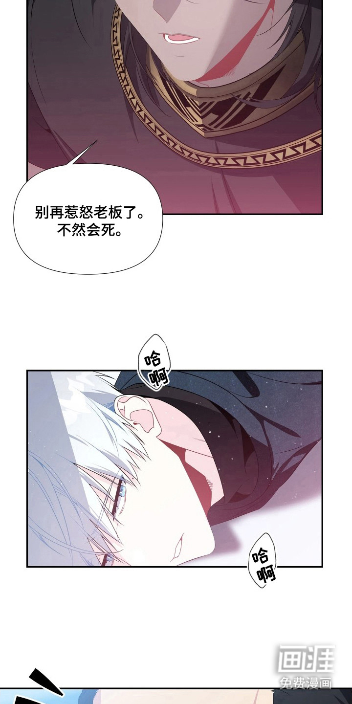 底牌与谎言漫画-图11