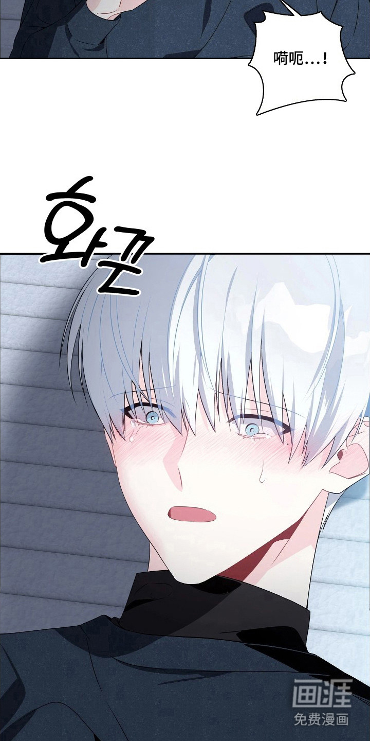 底牌与谎言漫画-图11