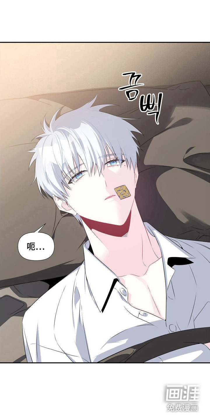 底牌与谎言漫画-图1