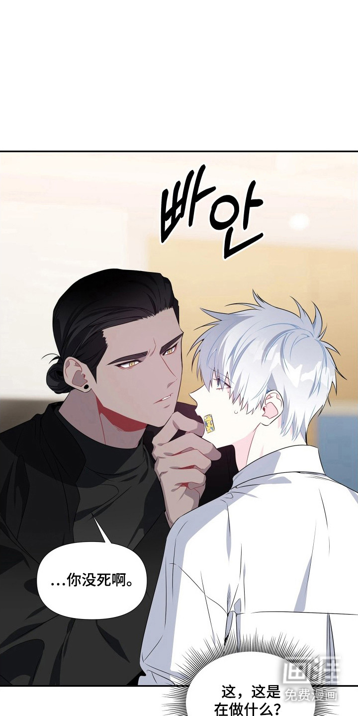 底牌与谎言漫画-图6