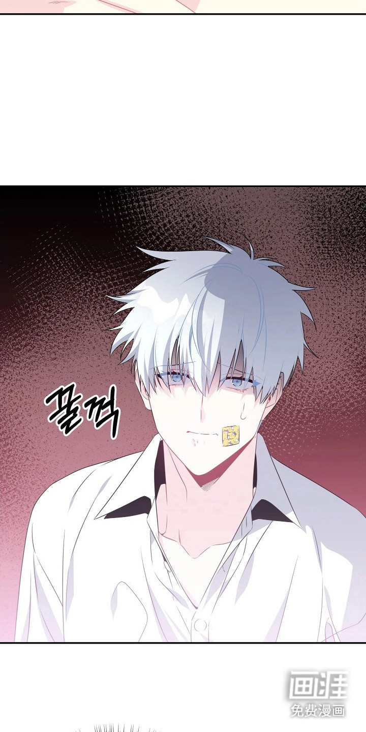 底牌与谎言漫画-图12