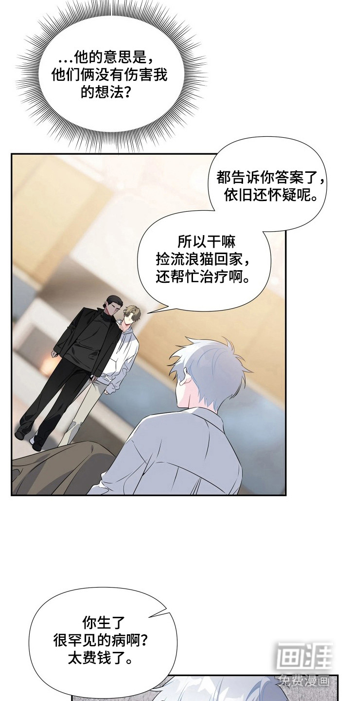 底牌与谎言漫画-图13