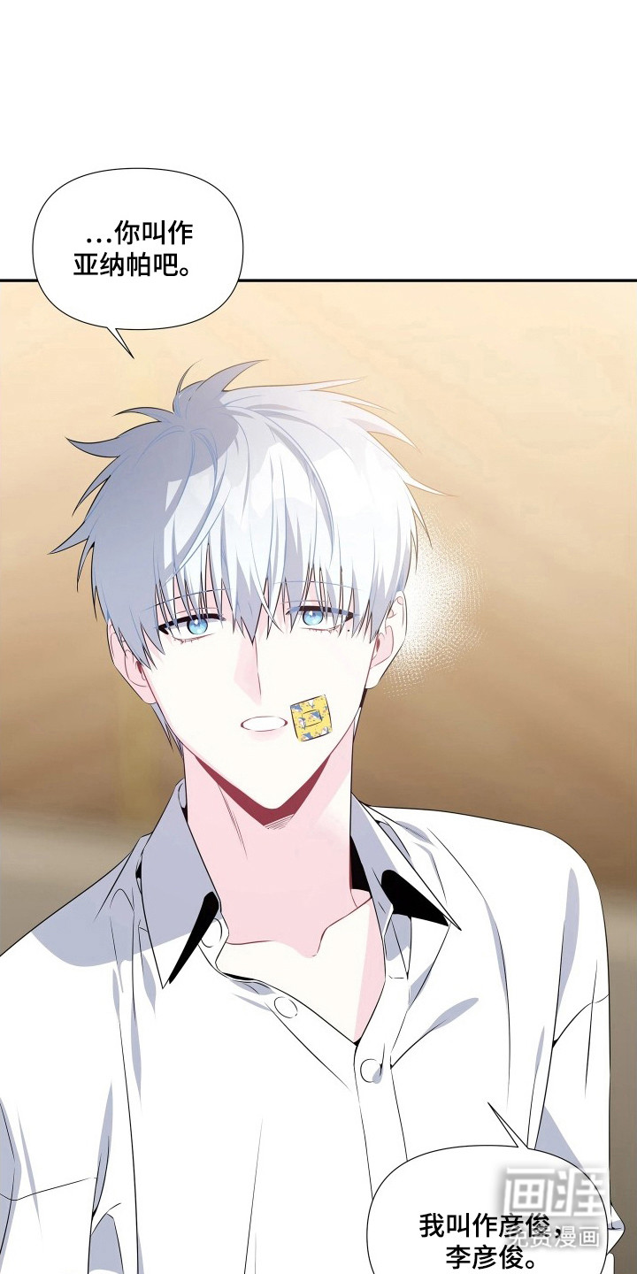 底牌与谎言漫画-图17