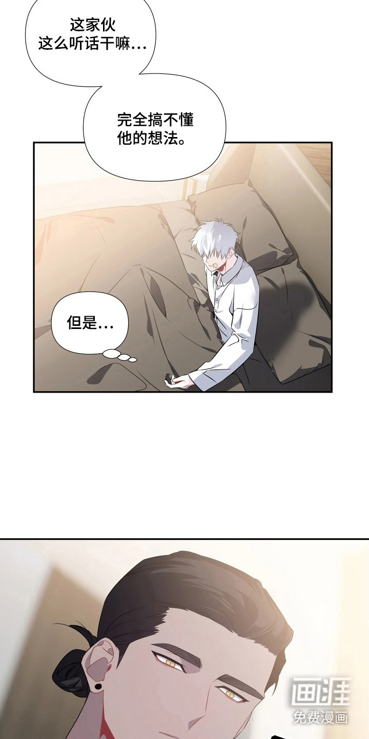 底牌与谎言漫画-图19