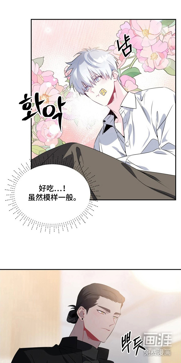 底牌与谎言漫画-图21