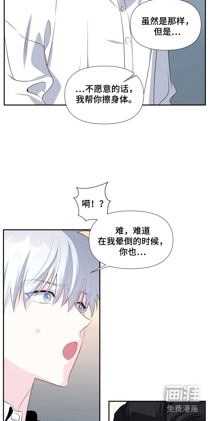 底牌与谎言漫画-图5