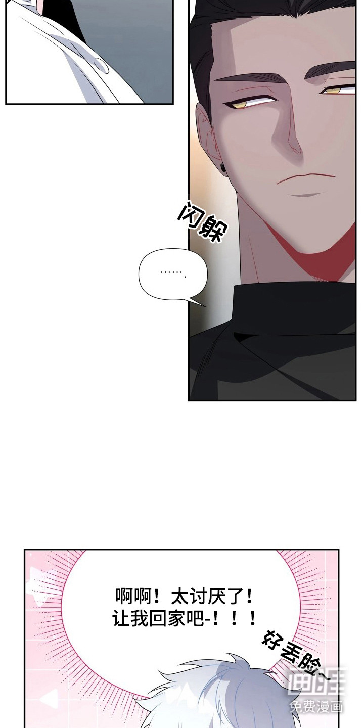 底牌与谎言漫画-图6