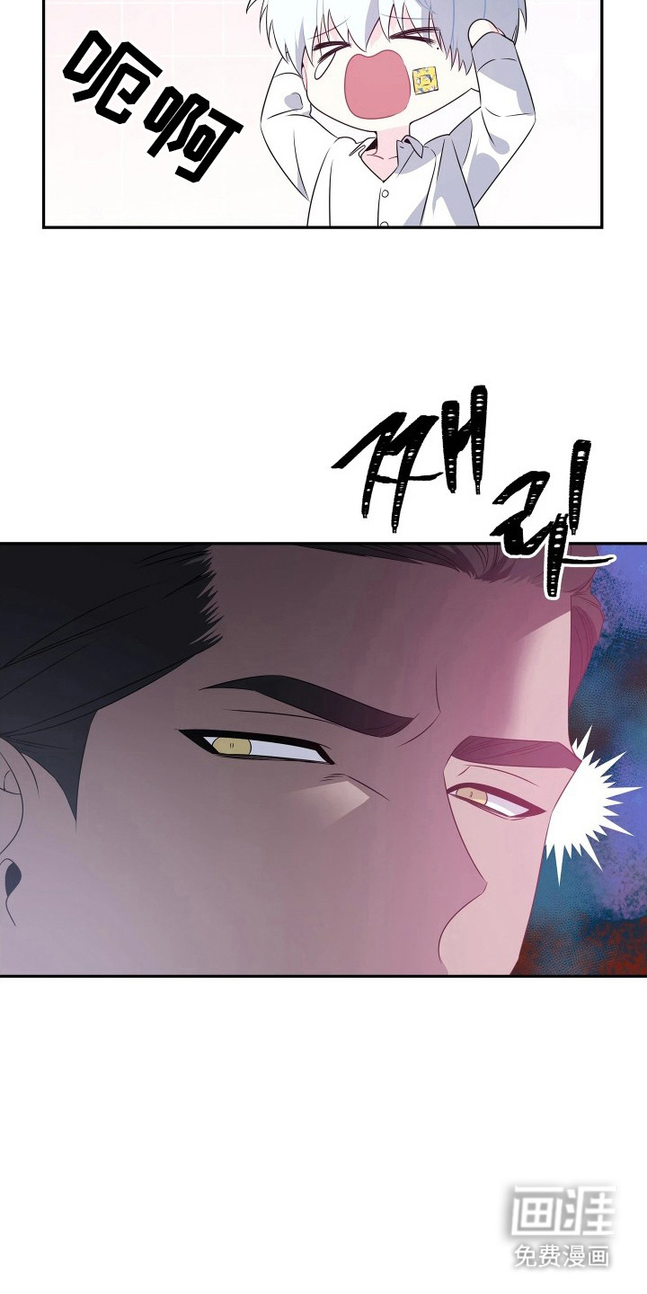 底牌与谎言漫画-图7