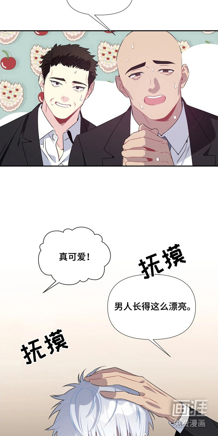 底牌与谎言漫画-图11