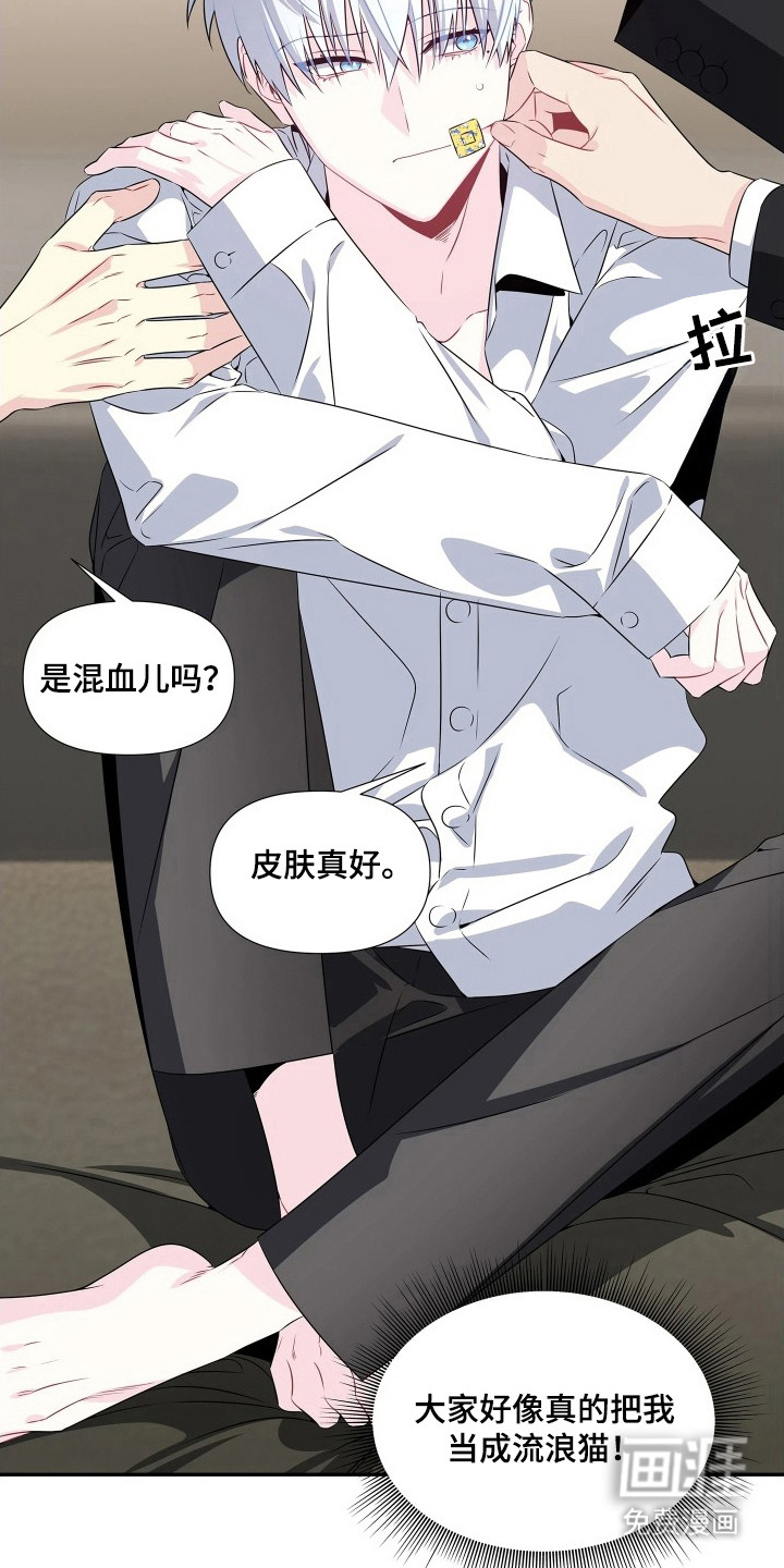 底牌与谎言漫画-图12