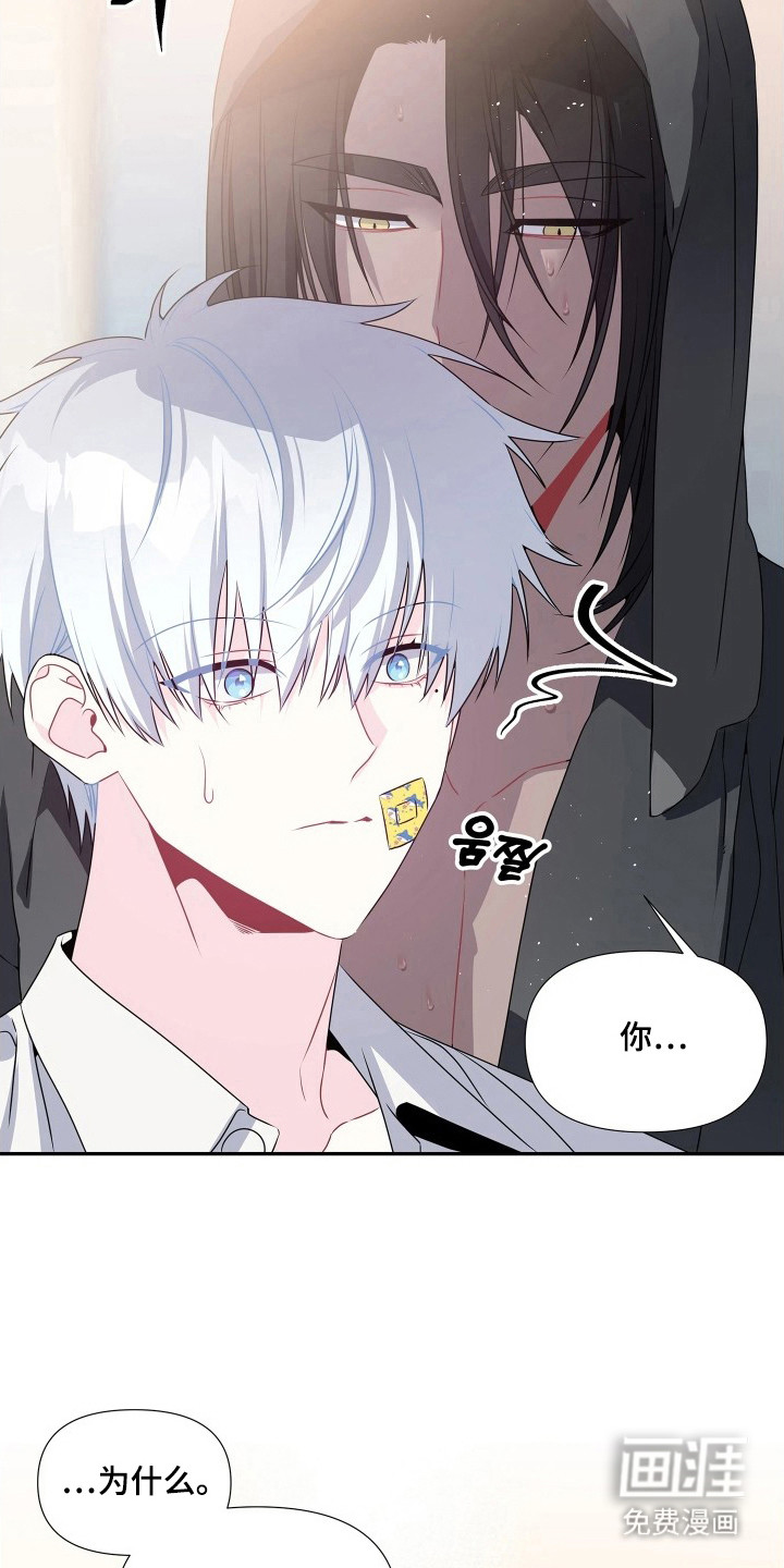 底牌与谎言漫画-图22