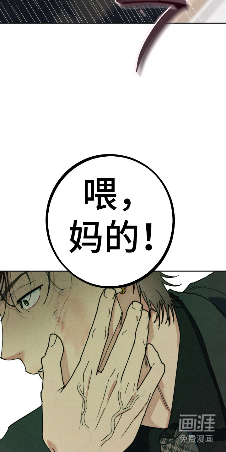 等你说喜欢漫画-图12