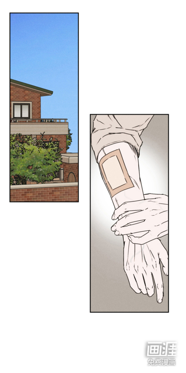 等你说喜欢漫画-图0