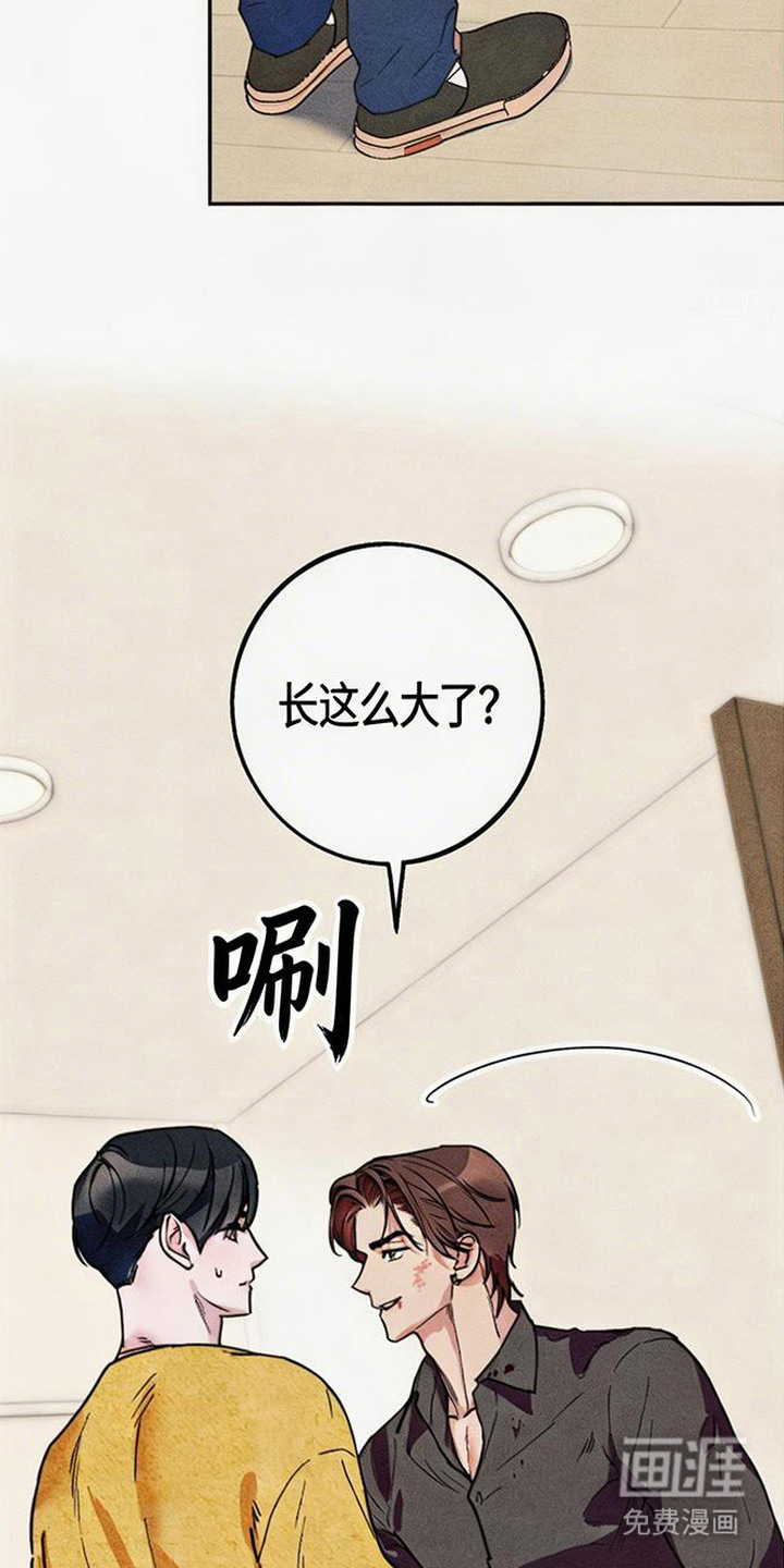 等你说喜欢漫画-图7