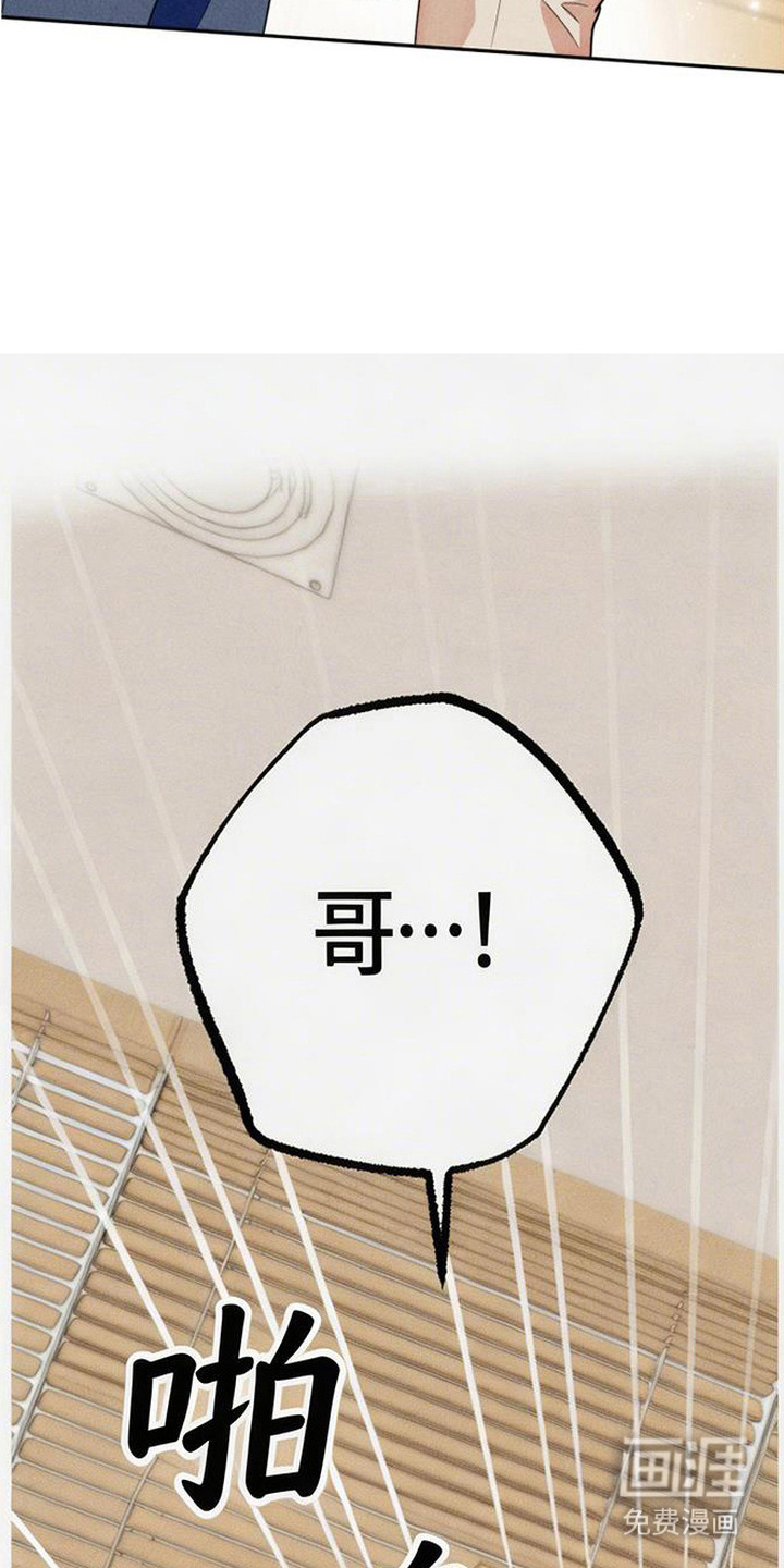 等你说喜欢漫画-图22