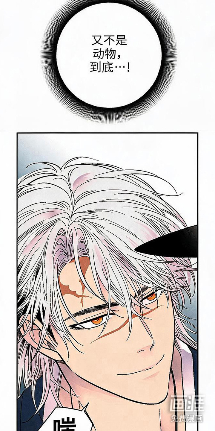 毒吻成契漫画-图6