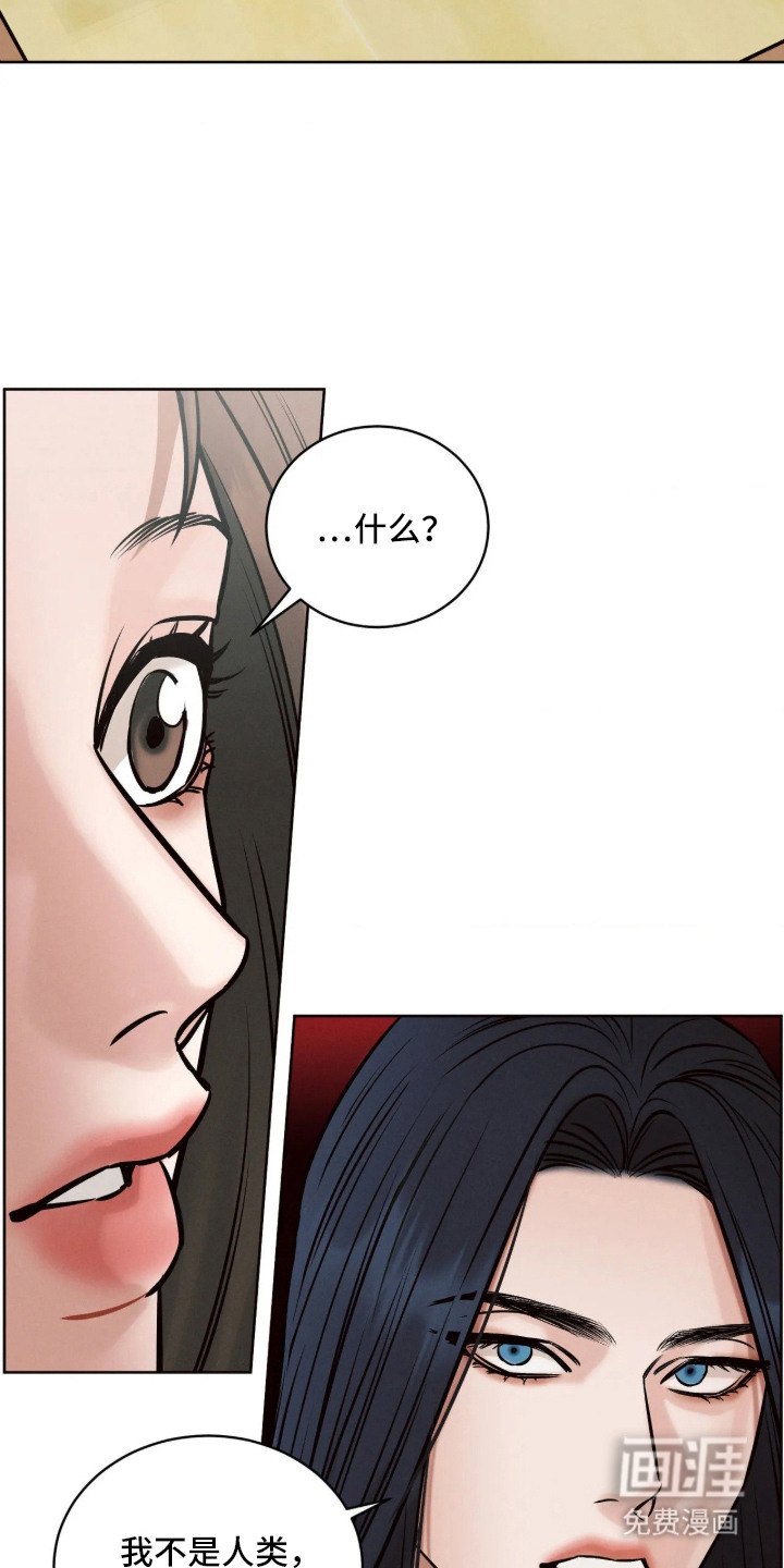 冬神的试炼漫画-图19