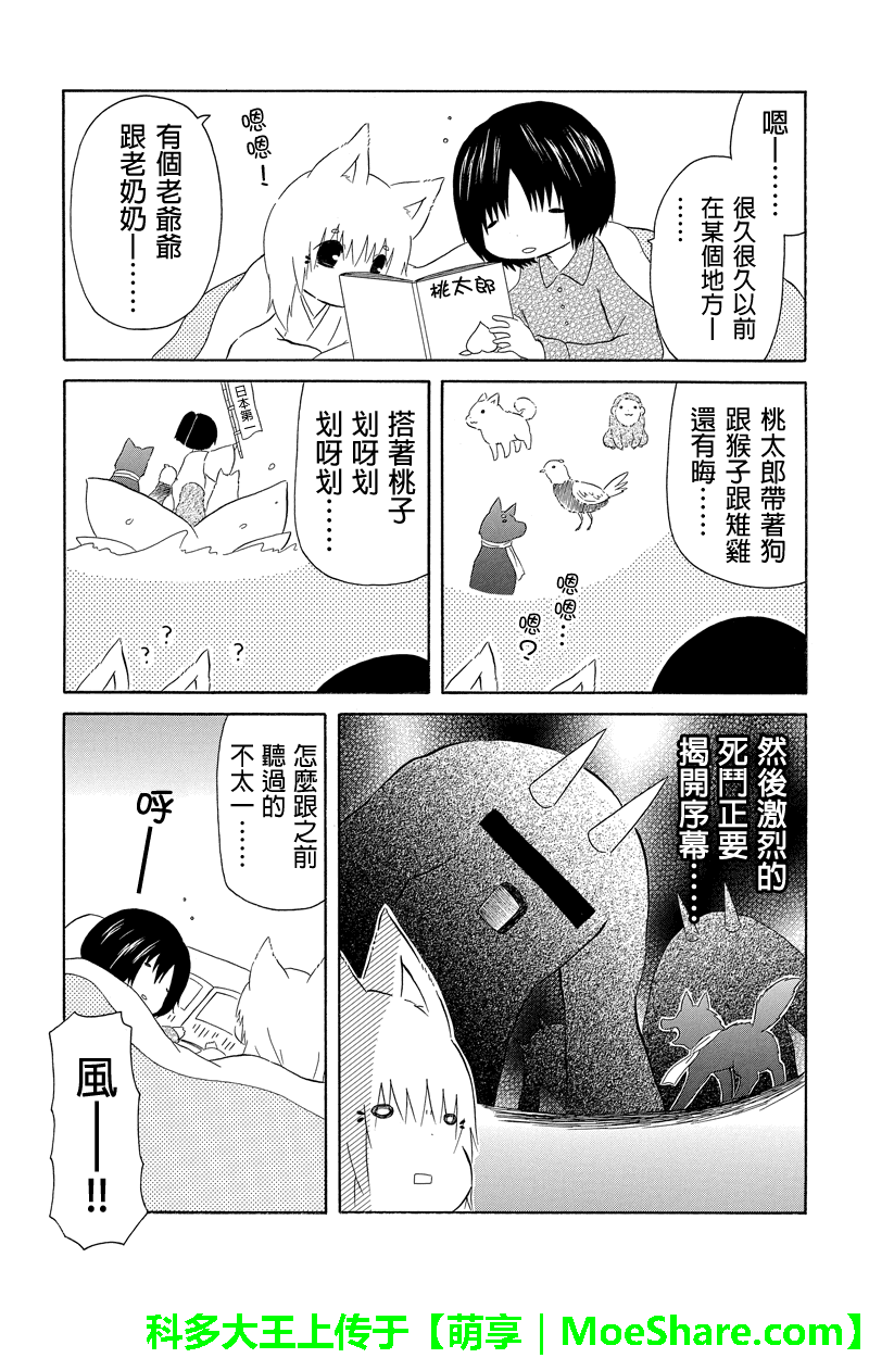 岛岛花狐第10话图