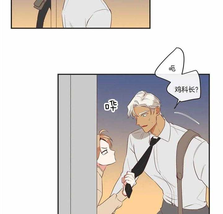 恶魔的诱惑第167话图