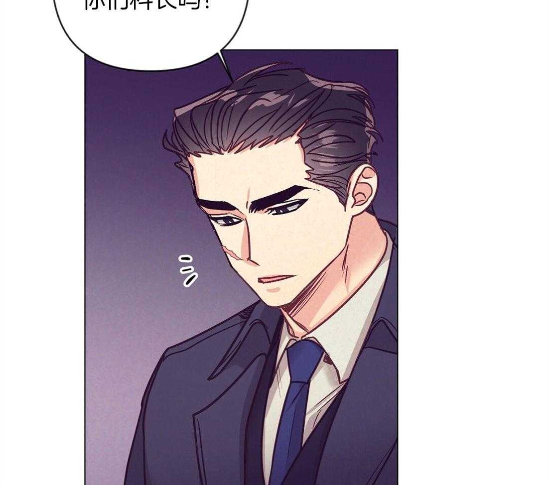 讹上大佬的后果第43话图