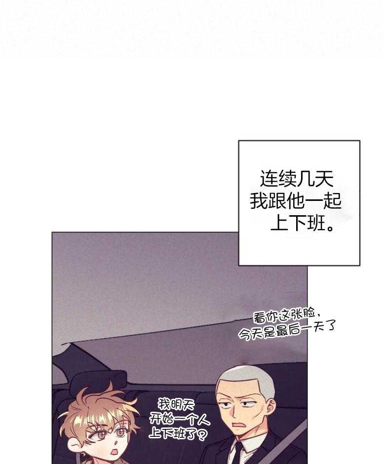 讹上大佬的后果第48话图